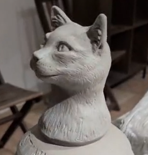 Gatto a pelo corto